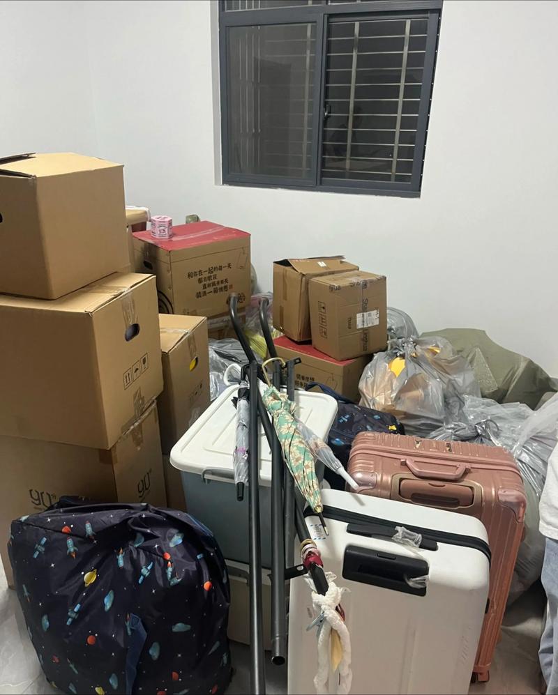 运通未来之路：赤壁货运部的发展与挑战